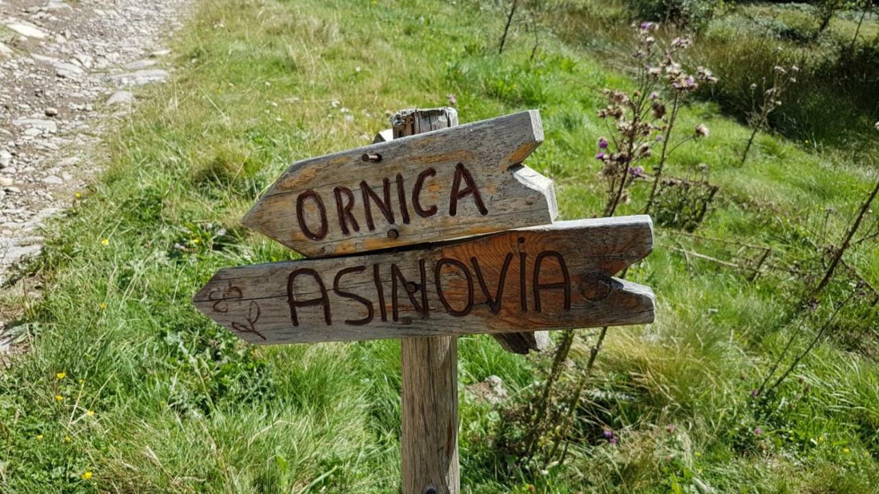 Casa Del Cirillo Apartment Ornica Luaran gambar